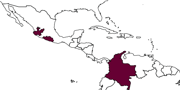 map of Foxita narinonis     Leclercq, 2005